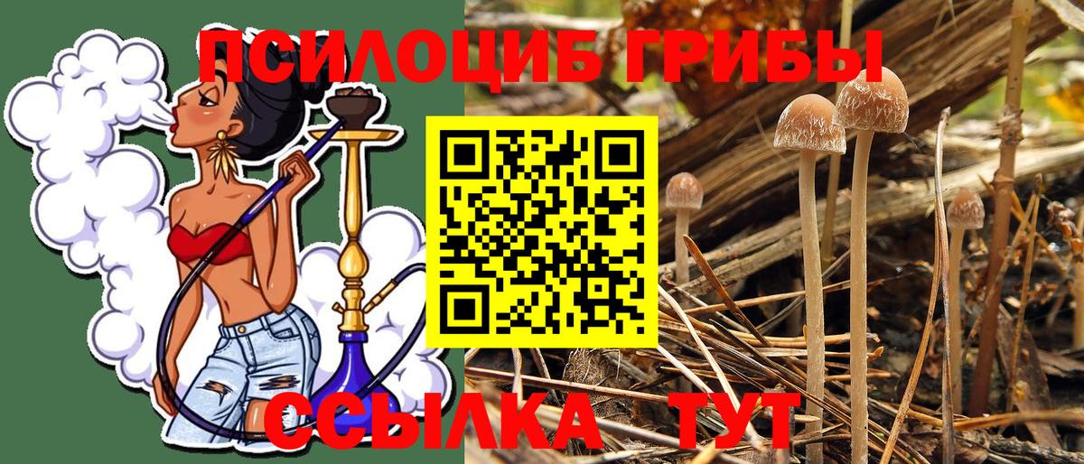 Галлюциногенные грибы мицелий Минусинск